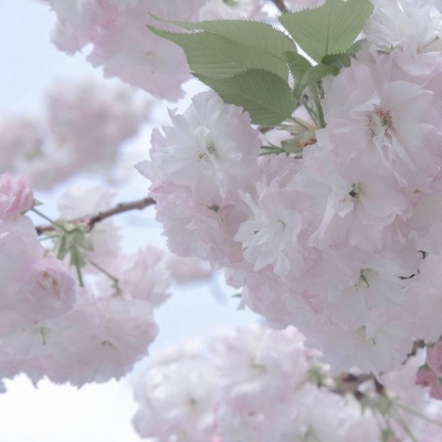 船山FurryQQ群介绍